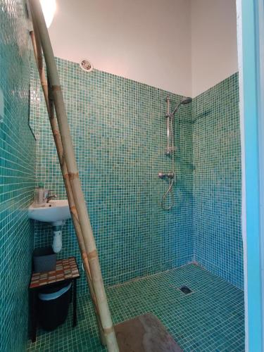 La salle de bains est pourvue de carrelage vert, d'une douche et d'un lavabo. dans l'établissement Les 2 roses De Verdillon, à La Crau
