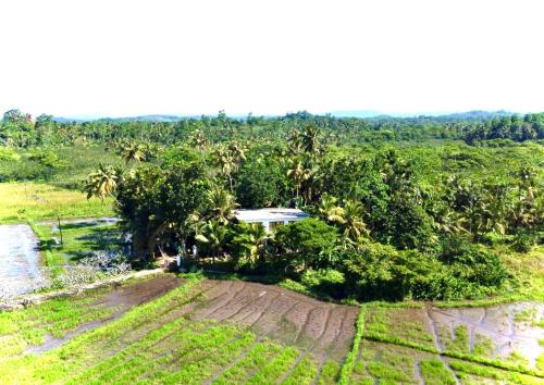 Gallery image of Field Island Villa - Ahangama in Ahangama