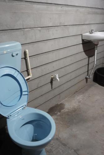 a blue toilet sitting next to a sink at Dawki Umngot Riverside Homestay, Darrang village in Dawki