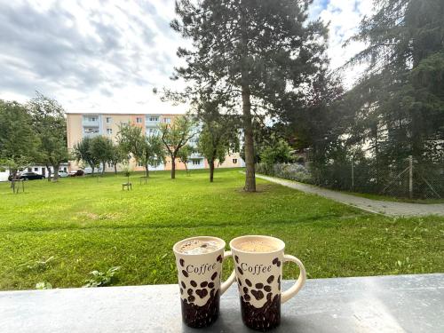 Zahrada ubytování Apartment Rožnov - Rožnov pod Radhoštěm