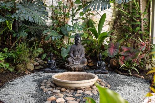 Κήπος έξω από το Muguet House Granada