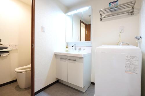 a bathroom with a sink and a toilet and a mirror at Nihonbashi Royal in Osaka