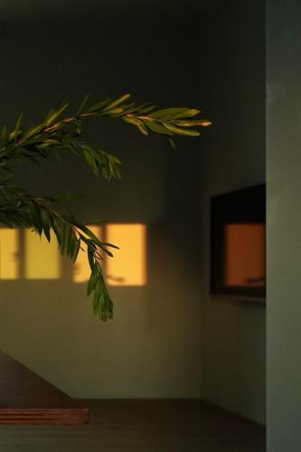 a corner of a room with lights on a wall at Pyoseon Mansion in Seogwipo