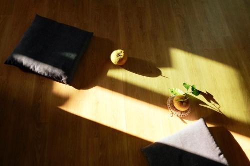 a beam of light shining on a wooden table with a plant at Pyoseon Mansion in Seogwipo