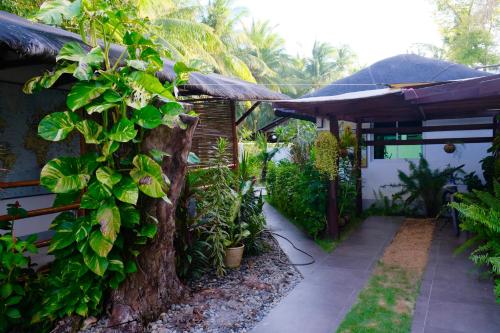 a garden outside a house with a tree at Skott's Comfy Lodge in Bantayan Island