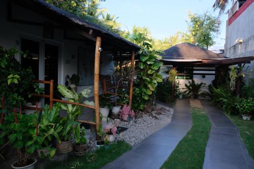 a garden outside a house with plants at Skott's Comfy Lodge in Bantayan Island