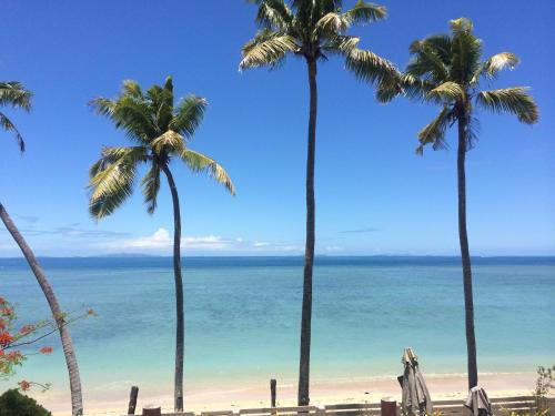 a group of palm trees on a beach with the ocean at First Landing Beach Resort & Villas in Lautoka