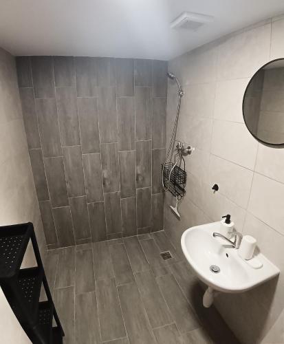 a bathroom with a sink and a shower at Za hrází Poděbrady in Poděbrady
