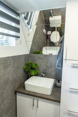 a bathroom with a sink and a toilet at PilisRelax-Stílusos Vendèghàz in Pilismarót