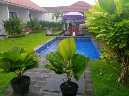 - une piscine dans une cour avec des plantes et un parasol dans l'établissement Kayla Homestay, à Nusa Dua