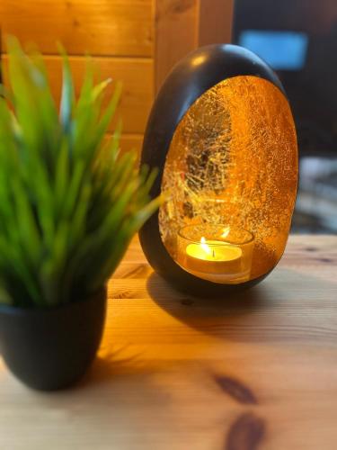 a light on a table next to a potted plant at Wellness-Ferienwohnung mit Sauna, Massagen, beheizbarem Whirlpool & eigener Bierzapfanlage in Pomssen