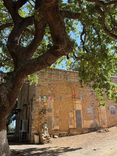 a tree standing in front of a brick building at Villa GIANNAKOS MINOAN HERSONISSOS in Kastéllion