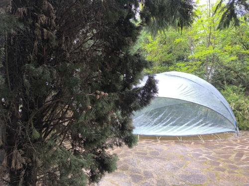 a tent sitting in a field next to a tree at Tamerici House in Montecastrilli