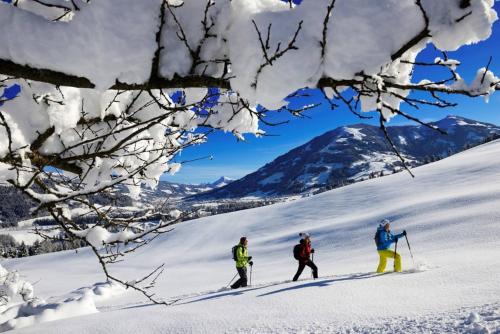 Το Garten Suite Kirchberg by Alpine Host Helpers τον χειμώνα