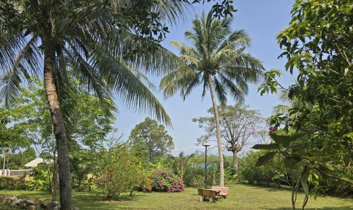 a park with two palm trees and a bench at Kep Lodge in Kep