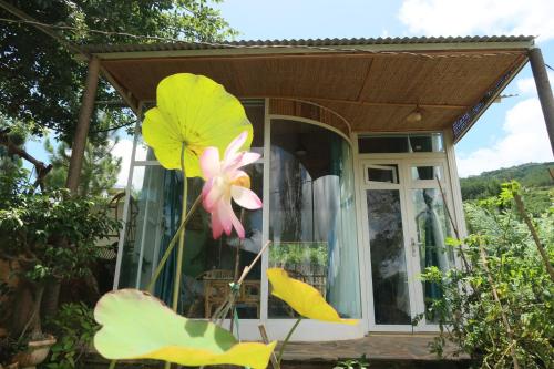a house with a pink flower in front of it at Rosée De Kala - A&Q Suite in Rhang Ung (3)
