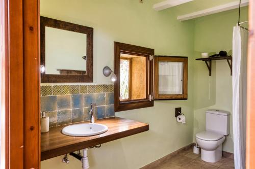 a bathroom with a sink and a toilet at Mas la Ginesta in Borrassá