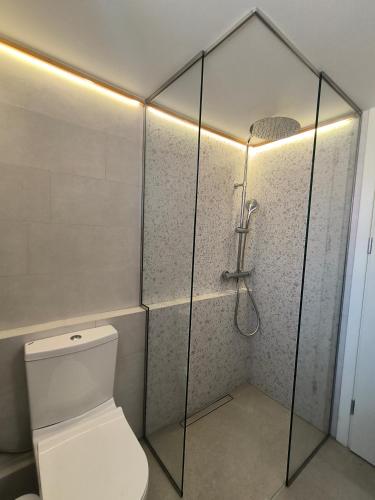 a bathroom with a toilet and a shower at Villa Manesi in Kithnos