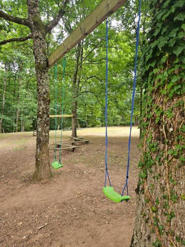 two swings hanging from a tree in a park at Le calme in Braize