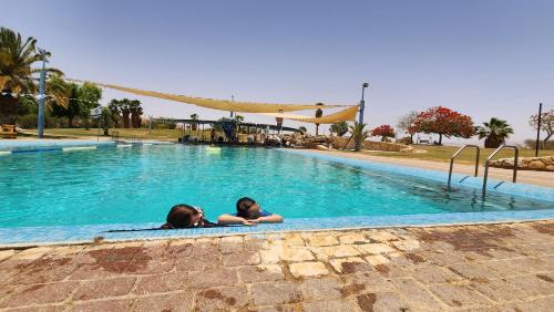 Bazén v ubytování Kibbutz Lotan Eco-Campus nebo v jeho okolí