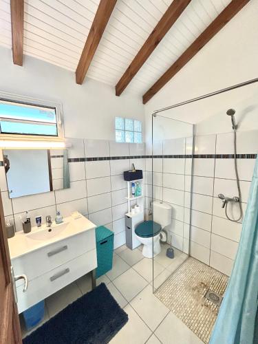 a bathroom with a shower and a sink and a toilet at Magnifique Villa avec terrasse et jardin XXL in Sainte-Anne