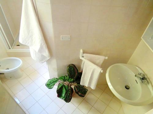 La salle de bains est pourvue d'un lavabo et d'une plante au sol. dans l'établissement Albergo Ristorante Canetta, à Premeno