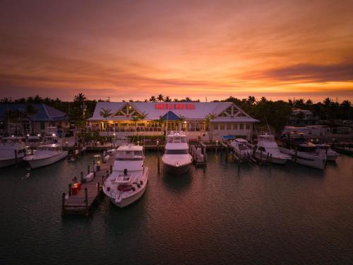 a group of boats docked at a marina at sunset at Hawks Cay Resort in Marathon