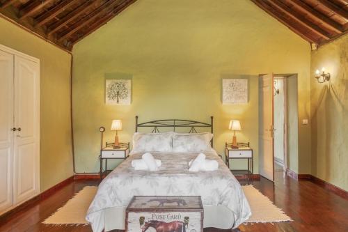 a bedroom with a large bed with two night stands at Casa Isabel in Santa Brígida