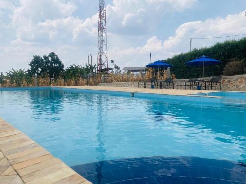 a large blue swimming pool with chairs and umbrellas at The Mansion 