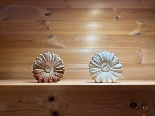 two flowers sitting on top of a shelf at コテージコッタロ in Gojikkoku