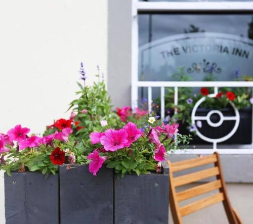 a flower box with pink flowers and a wooden chair at The Victoria Inn in Haddington