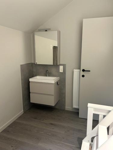 a bathroom with a sink and a mirror at Comfortabele groepswoning voor 8 met ruimte tuin in Turnhout