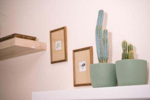 a shelf with two cactuses and two pictures on it at The Rooftop of Apartments Lungo Mare in Ulcinj