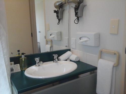 a bathroom with a sink and a mirror at South Park Motel in Masterton