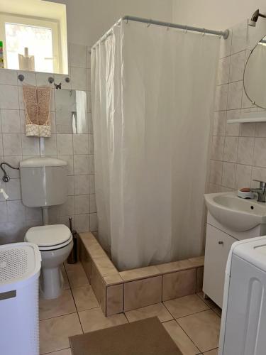 a bathroom with a toilet and a sink and a shower at Marosi Ház in Nagymaros