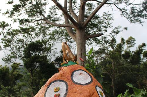 a bird sitting on top of a persons head at Hotel Valle Verde in Valle de Anton