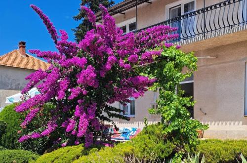 Bošana Beach Apartment Biograd