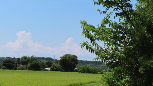 アパートメントの近くで見られる自然の景観