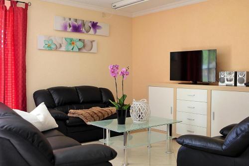 a living room with black leather chairs and a tv at Cottages at the Kummerower See in Verchen in Verchen
