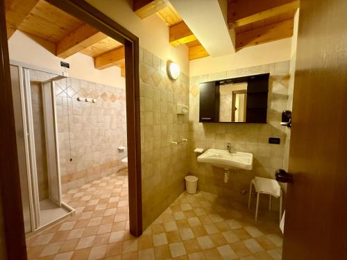 a bathroom with a sink and a shower and a mirror at B&B La Montanara in San Martino di Castrozza