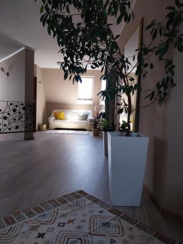 Hotelik pod Baranami