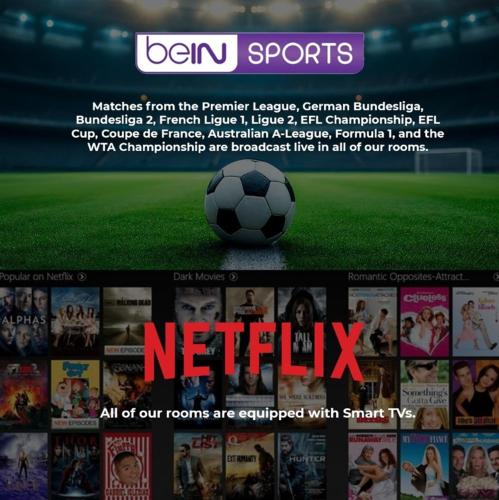 a page of a website with a soccer ball on a field at THE NEST HOTEL in Istanbul