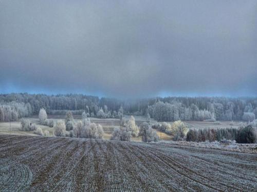 a plowed field with trees in the background at Comfortable Apartment in Nemojov near Forest in Horní Nemojov