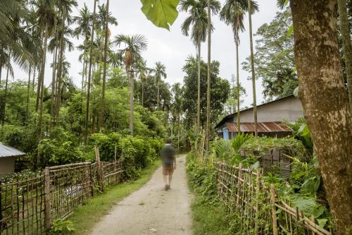 Hosté ubytování Rhino and River Wildlife Retreat & Spa, Pobitora - Guwahati