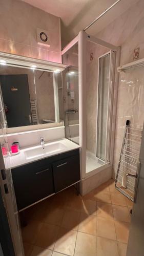 une salle de bain avec un lavabo et une douche dans l'établissement T2 avec Véranda et Piscine à Mandelieu La Napoule, à Mandelieu-la-Napoule