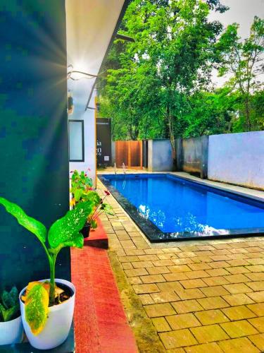 a swimming pool with a potted plant next to it at Forest Haven in Batheri