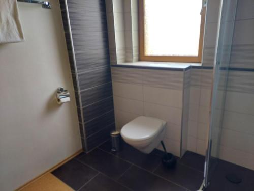 a bathroom with a toilet and a window and a shower at Ferienwohnung Hildegard in Ormesheim