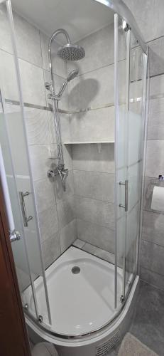 a shower with a glass door in a bathroom at Pokoje gościnne u Krupy in Murzasichle