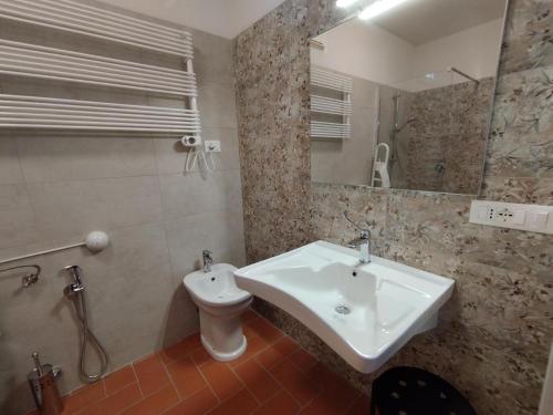 a bathroom with a sink and a toilet at Agriturismo La Gatta E L'Olivo in Donoratico