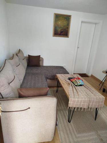 a living room with a couch and a coffee table at Dorotea Apartment in Ohrid